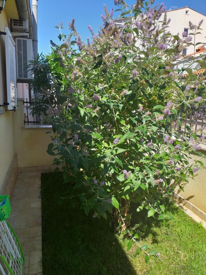 Apartman Vida Пула Экстерьер фото