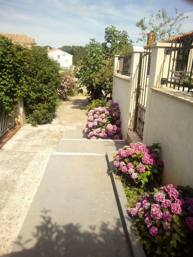 Apartman Vida Пула Экстерьер фото